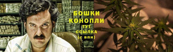 шишки Пересвет