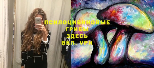 спиды Пестово