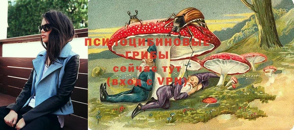 сатива Абаза