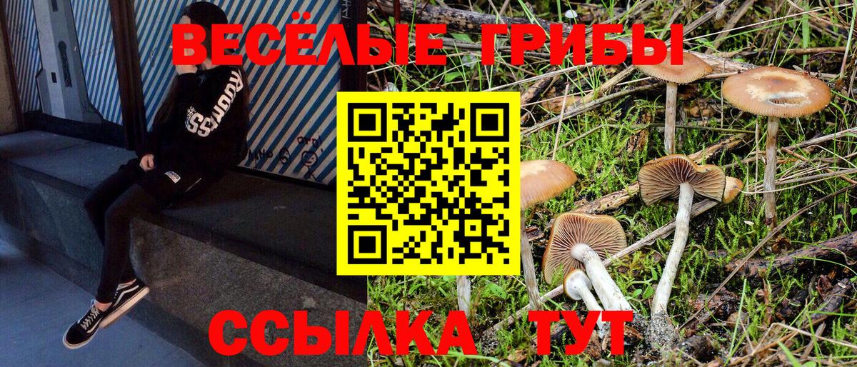 цены   Псилоцибиновые грибы мицелий  Вход с VPN  Псилоцибиновые грибы мухоморы  Алапаевск 