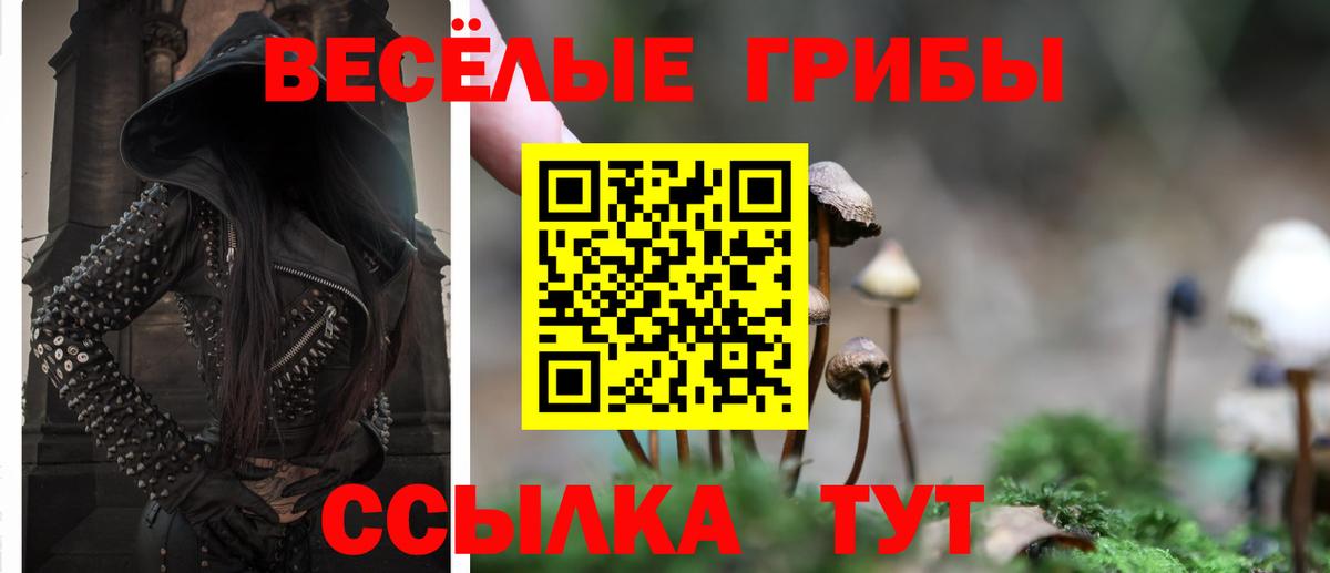 Псилоцибиновые грибы Psilocybe Алапаевск